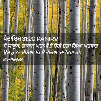 Picture 02 - ਪੈਦਾਇਸ਼ 31:20 PANIRV - ਸੋ ਯਾਕੂਬ, ਲਾਬਾਨ - Bible Verse Picture