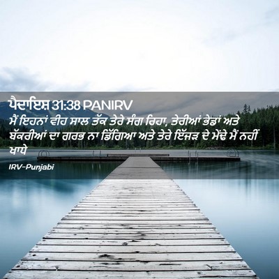Picture 02 - ਪੈਦਾਇਸ਼ 31:38 PANIRV - ਮੈਂ ਇਹਨਾਂ ਵੀਹ ਸਾਲ - Bible Verse Picture