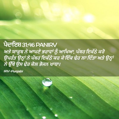 Picture 02 - ਪੈਦਾਇਸ਼ 31:46 PANIRV - ਅਤੇ ਯਾਕੂਬ ਨੇ ਆਪਣੇ - Bible Verse Picture