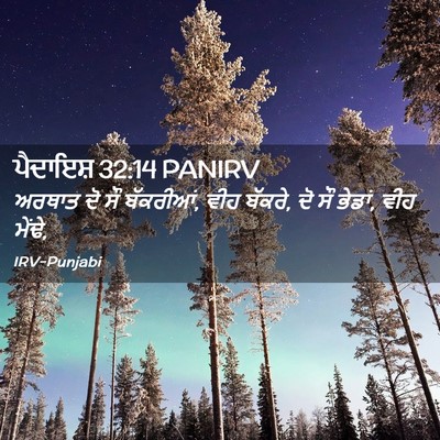 Picture 02 - ਪੈਦਾਇਸ਼ 32:14 PANIRV - ਅਰਥਾਤ ਦੋ ਸੌ - Bible Verse Picture