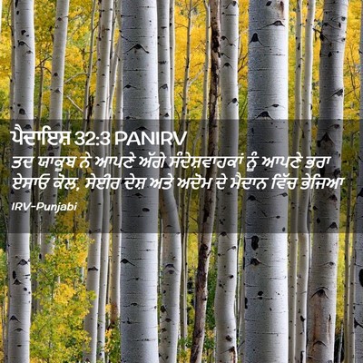 Picture 02 - ਪੈਦਾਇਸ਼ 32:3 PANIRV - ਤਦ ਯਾਕੂਬ ਨੇ ਆਪਣੇ - Bible Verse Picture