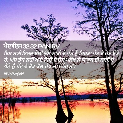Picture 02 - ਪੈਦਾਇਸ਼ 32:32 PANIRV - ਇਸ ਲਈ ਇਸਰਾਏਲੀ ਉਸ - Bible Verse Picture