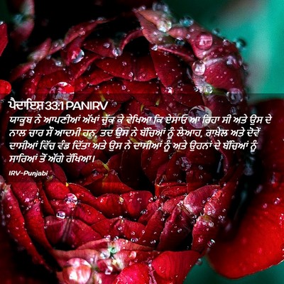 Picture 02 - ਪੈਦਾਇਸ਼ 33:1 PANIRV - ਯਾਕੂਬ ਨੇ ਆਪਣੀਆਂ - Bible Verse Picture
