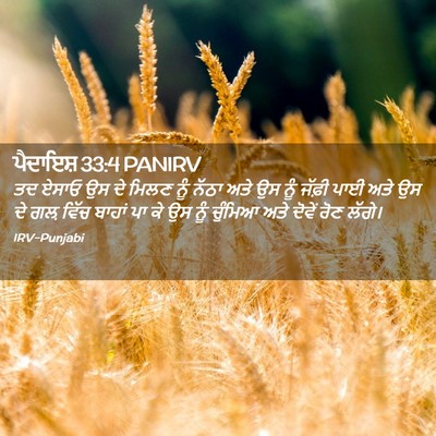 Picture 02 - ਪੈਦਾਇਸ਼ 33:4 PANIRV - ਤਦ ਏਸਾਓ ਉਸ ਦੇ ਮਿਲਣ - Bible Verse Picture
