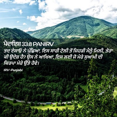 Picture 02 - ਪੈਦਾਇਸ਼ 33:8 PANIRV - ਤਦ ਏਸਾਓ ਨੇ ਪੁੱਛਿਆ, - Bible Verse Picture