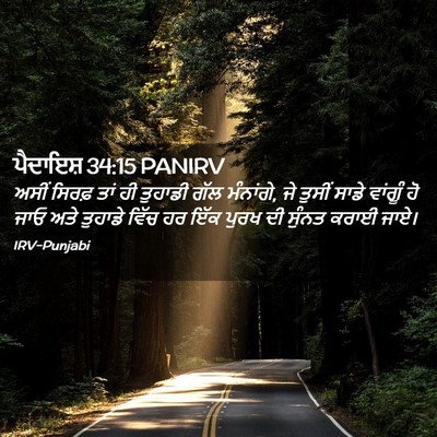 Picture 02 - ਪੈਦਾਇਸ਼ 34:15 PANIRV - ਅਸੀਂ ਸਿਰਫ਼ ਤਾਂ ਹੀ - Bible Verse Picture