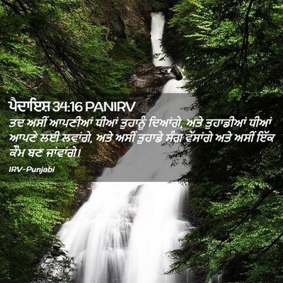 Picture 02 - ਪੈਦਾਇਸ਼ 34:16 PANIRV - ਤਦ ਅਸੀਂ ਆਪਣੀਆਂ - Bible Verse Picture