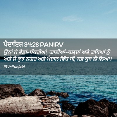 Picture 02 - ਪੈਦਾਇਸ਼ 34:28 PANIRV - ਉਨ੍ਹਾਂ ਨੇ - Bible Verse Picture