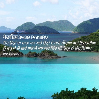 Picture 02 - ਪੈਦਾਇਸ਼ 34:29 PANIRV - ਉਹ ਉਨ੍ਹਾਂ ਦਾ ਸਾਰਾ - Bible Verse Picture