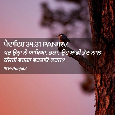 Picture 02 - ਪੈਦਾਇਸ਼ 34:31 PANIRV - ਪਰ ਉਨ੍ਹਾਂ ਨੇ ਆਖਿਆ, - Bible Verse Picture