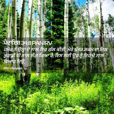 Picture 02 - ਪੈਦਾਇਸ਼ 34:8 PANIRV - ਹਮੋਰ ਨੇ ਉਨ੍ਹਾਂ ਦੇ - Bible Verse Picture