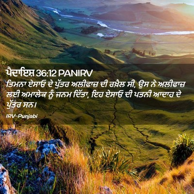 Picture 02 - ਪੈਦਾਇਸ਼ 36:12 PANIRV - ਤਿਮਨਾ ਏਸਾਓ ਦੇ - Bible Verse Picture