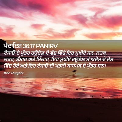 Picture 02 - ਪੈਦਾਇਸ਼ 36:17 PANIRV - ਏਸਾਓ ਦੇ ਪੁੱਤਰ ਰਊਏਲ - Bible Verse Picture