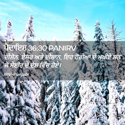 Picture 02 - ਪੈਦਾਇਸ਼ 36:30 PANIRV - ਦੀਸ਼ੋਨ, ਏਸਰ ਅਤੇ - Bible Verse Picture