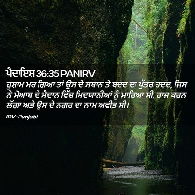 Picture 02 - ਪੈਦਾਇਸ਼ 36:35 PANIRV - ਹੂਸ਼ਾਮ ਮਰ ਗਿਆ ਤਾਂ - Bible Verse Picture