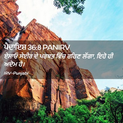 Picture 02 - ਪੈਦਾਇਸ਼ 36:8 PANIRV - ਏਸਾਓ ਸੇਈਰ ਦੇ ਪਰਬਤ - Bible Verse Picture