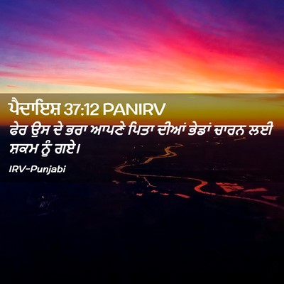 Picture 02 - ਪੈਦਾਇਸ਼ 37:12 PANIRV - ਫੇਰ ਉਸ ਦੇ ਭਰਾ ਆਪਣੇ - Bible Verse Picture