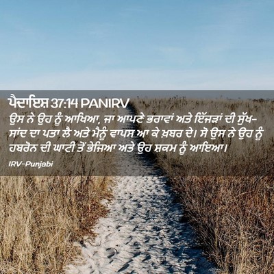Picture 02 - ਪੈਦਾਇਸ਼ 37:14 PANIRV - ਉਸ ਨੇ ਉਹ ਨੂੰ ਆਖਿਆ, - Bible Verse Picture
