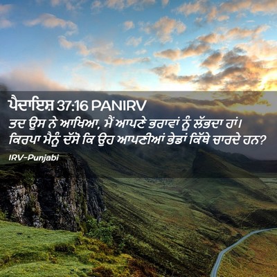 Picture 02 - ਪੈਦਾਇਸ਼ 37:16 PANIRV - ਤਦ ਉਸ ਨੇ ਆਖਿਆ, ਮੈਂ - Bible Verse Picture