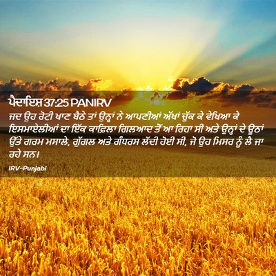 Picture 02 - ਪੈਦਾਇਸ਼ 37:25 PANIRV - ਜਦ ਉਹ ਰੋਟੀ ਖਾਣ ਬੈਠੇ - Bible Verse Picture