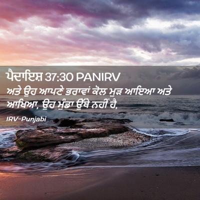 Picture 02 - ਪੈਦਾਇਸ਼ 37:30 PANIRV - ਅਤੇ ਉਹ ਆਪਣੇ ਭਰਾਵਾਂ - Bible Verse Picture
