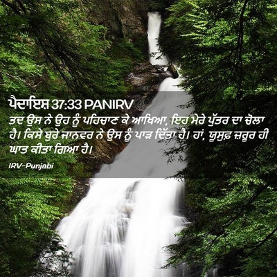 Picture 02 - ਪੈਦਾਇਸ਼ 37:33 PANIRV - ਤਦ ਉਸ ਨੇ ਉਹ ਨੂੰ - Bible Verse Picture