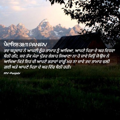 Picture 02 - ਪੈਦਾਇਸ਼ 38:11 PANIRV - ਤਦ ਯਹੂਦਾਹ ਨੇ ਆਪਣੀ - Bible Verse Picture