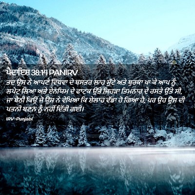 Picture 02 - ਪੈਦਾਇਸ਼ 38:14 PANIRV - ਤਦ ਉਸ ਨੇ ਆਪਣੇ ਵਿਧਵਾ - Bible Verse Picture