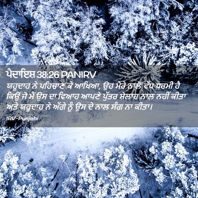 Picture 02 - ਪੈਦਾਇਸ਼ 38:26 PANIRV - ਯਹੂਦਾਹ ਨੇ ਪਹਿਚਾਣ - Bible Verse Picture