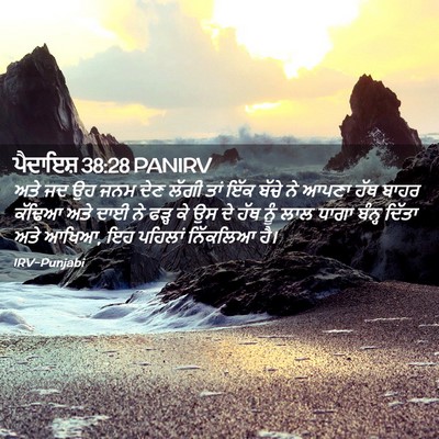Picture 02 - ਪੈਦਾਇਸ਼ 38:28 PANIRV - ਅਤੇ ਜਦ ਉਹ ਜਨਮ ਦੇਣ - Bible Verse Picture