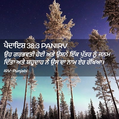 Picture 02 - ਪੈਦਾਇਸ਼ 38:3 PANIRV - ਉਹ ਗਰਭਵਤੀ ਹੋਈ ਅਤੇ - Bible Verse Picture