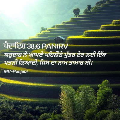 Picture 02 - ਪੈਦਾਇਸ਼ 38:6 PANIRV - ਯਹੂਦਾਹ ਨੇ ਆਪਣੇ - Bible Verse Picture