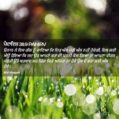 Picture 02 - ਪੈਦਾਇਸ਼ 38:9 PANIRV - ਓਨਾਨ ਨੇ ਇਸ ਗੱਲ ਨੂੰ - Bible Verse Picture