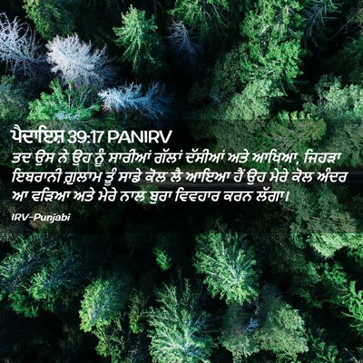 Picture 02 - ਪੈਦਾਇਸ਼ 39:17 PANIRV - ਤਦ ਉਸ ਨੇ ਉਹ ਨੂੰ - Bible Verse Picture
