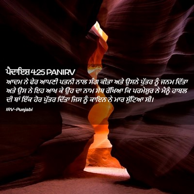 Picture 02 - ਪੈਦਾਇਸ਼ 4:25 PANIRV - ਆਦਮ ਨੇ ਫੇਰ ਆਪਣੀ - Bible Verse Picture