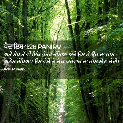 Picture 02 - ਪੈਦਾਇਸ਼ 4:26 PANIRV - ਅਤੇ ਸੇਥ ਤੋਂ ਵੀ ਇੱਕ - Bible Verse Picture