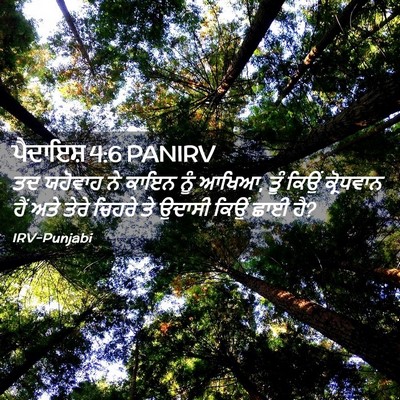 Picture 02 - ਪੈਦਾਇਸ਼ 4:6 PANIRV - ਤਦ ਯਹੋਵਾਹ ਨੇ ਕਾਇਨ - Bible Verse Picture
