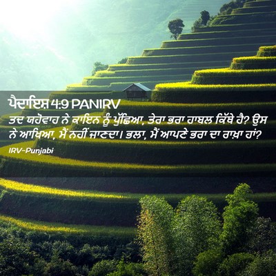 Picture 02 - ਪੈਦਾਇਸ਼ 4:9 PANIRV - ਤਦ ਯਹੋਵਾਹ ਨੇ ਕਾਇਨ - Bible Verse Picture