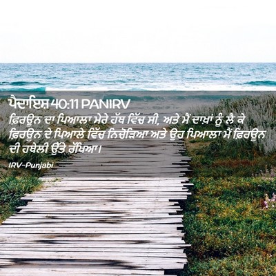Picture 02 - ਪੈਦਾਇਸ਼ 40:11 PANIRV - ਫ਼ਿਰਊਨ ਦਾ ਪਿਆਲਾ - Bible Verse Picture