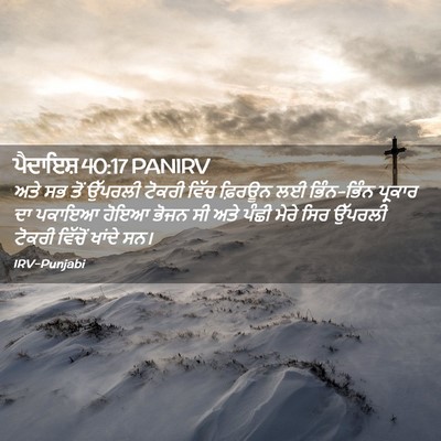 Picture 02 - ਪੈਦਾਇਸ਼ 40:17 PANIRV - ਅਤੇ ਸਭ ਤੋਂ ਉੱਪਰਲੀ - Bible Verse Picture