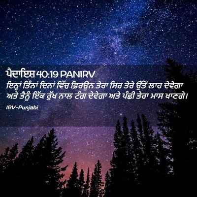 Picture 02 - ਪੈਦਾਇਸ਼ 40:19 PANIRV - ਇਨ੍ਹਾਂ ਤਿੰਨਾਂ - Bible Verse Picture