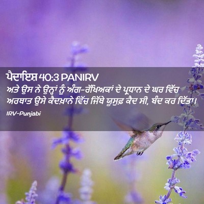 Picture 02 - ਪੈਦਾਇਸ਼ 40:3 PANIRV - ਅਤੇ ਉਸ ਨੇ ਉਨ੍ਹਾਂ - Bible Verse Picture