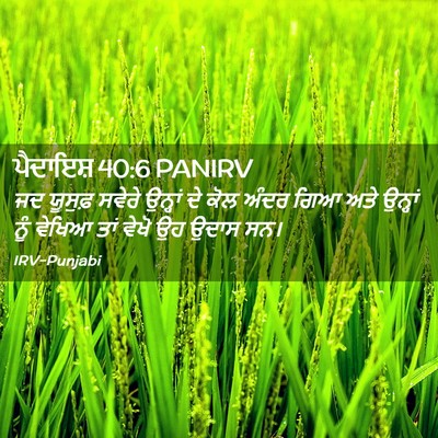 Picture 02 - ਪੈਦਾਇਸ਼ 40:6 PANIRV - ਜਦ ਯੂਸੁਫ਼ ਸਵੇਰੇ - Bible Verse Picture