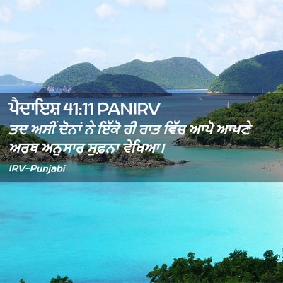 Picture 02 - ਪੈਦਾਇਸ਼ 41:11 PANIRV - ਤਦ ਅਸੀਂ ਦੋਨਾਂ ਨੇ - Bible Verse Picture