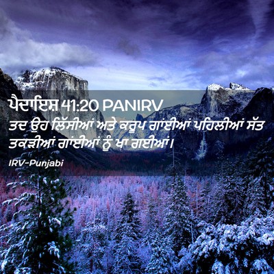 Picture 02 - ਪੈਦਾਇਸ਼ 41:20 PANIRV - ਤਦ ਉਹ ਲਿੱਸੀਆਂ ਅਤੇ - Bible Verse Picture