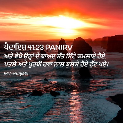 Picture 02 - ਪੈਦਾਇਸ਼ 41:23 PANIRV - ਅਤੇ ਵੇਖੋ ਉਨ੍ਹਾਂ ਦੇ - Bible Verse Picture
