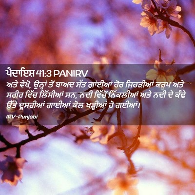 Picture 02 - ਪੈਦਾਇਸ਼ 41:3 PANIRV - ਅਤੇ ਵੇਖੋ, ਉਨ੍ਹਾਂ - Bible Verse Picture