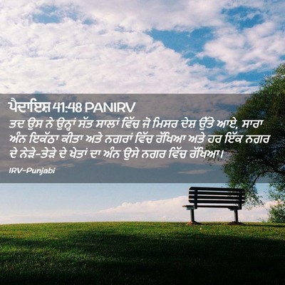 Picture 02 - ਪੈਦਾਇਸ਼ 41:48 PANIRV - ਤਦ ਉਸ ਨੇ ਉਨ੍ਹਾਂ ਸੱਤ - Bible Verse Picture