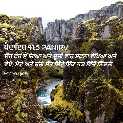 Picture 02 - ਪੈਦਾਇਸ਼ 41:5 PANIRV - ਉਹ ਫੇਰ ਸੌਂ ਗਿਆ ਅਤੇ - Bible Verse Picture