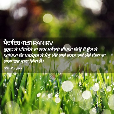 Picture 02 - ਪੈਦਾਇਸ਼ 41:51 PANIRV - ਯੂਸੁਫ਼ ਨੇ ਪਹਿਲੌਠੇ - Bible Verse Picture